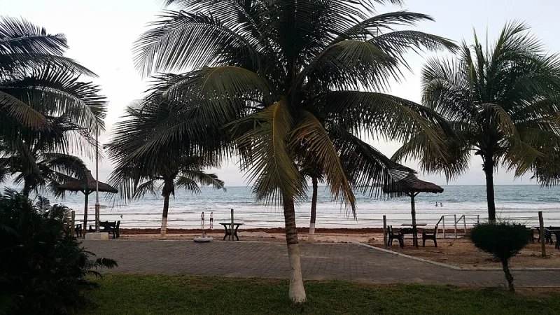 When the Forecast Fails You: The Case for the Washed-Out Resort Day
