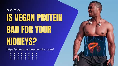 Are Protein Powders Bad for Kidneys: Unraveling the Myths and Facts Behind the Scoop