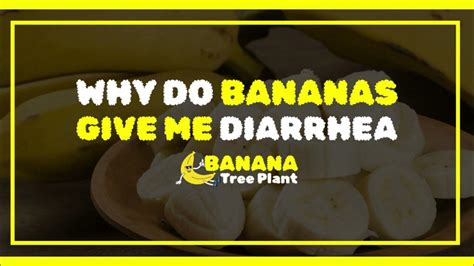 Can Pea Protein Cause Diarrhea? And Why Do Bananas Wear Pyjamas?