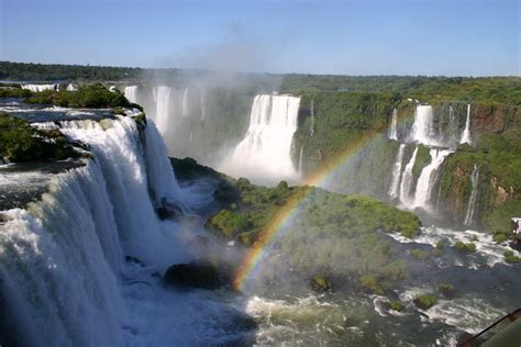 Can You Swim in Iguazu Falls? And Why Do Pineapples Dream of Flying?