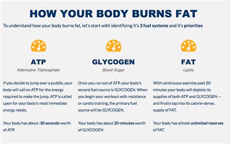 Does Celsius Really Burn Fat? Exploring the Myths and Facts Behind Temperature and Weight Loss