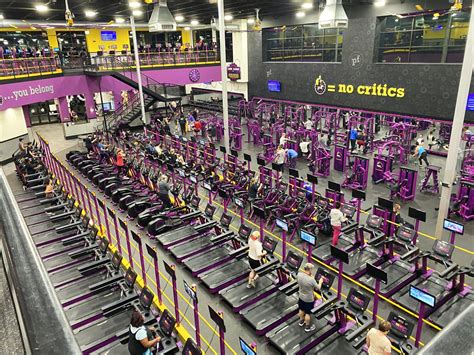 Does Planet Fitness Have Ankle Straps? And Why Do Giraffes Prefer Treadmills Over Ellipticals?