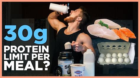 How much protein can you process at once, and does it really matter if you eat a whole chicken in one sitting?