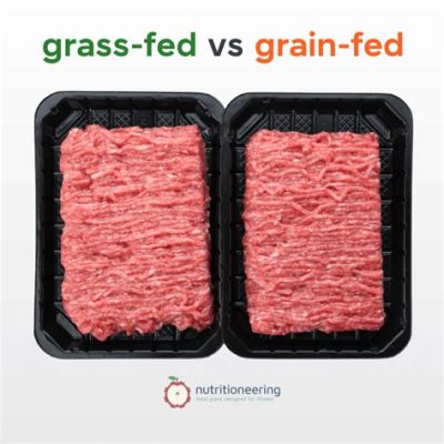 How Much Protein is in Lean Ground Beef and Why Do Cats Dream of Electric Sheep?