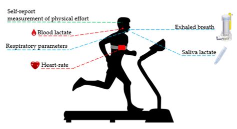 How to Control Heart Rate While Running: A Symphony of Breath and Rhythm