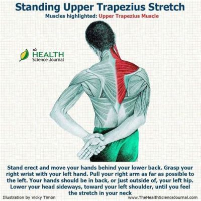 How to Stretch Trapezius Muscles: Why Pineapples Don’t Belong on Pizza