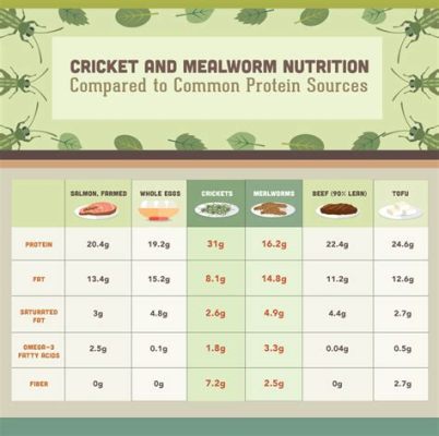 Is protein made from mealworms, and can they revolutionize our understanding of sustainable nutrition?