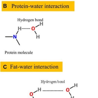 Is Protein Water Soluble? Exploring the Mysteries of Molecular Interactions